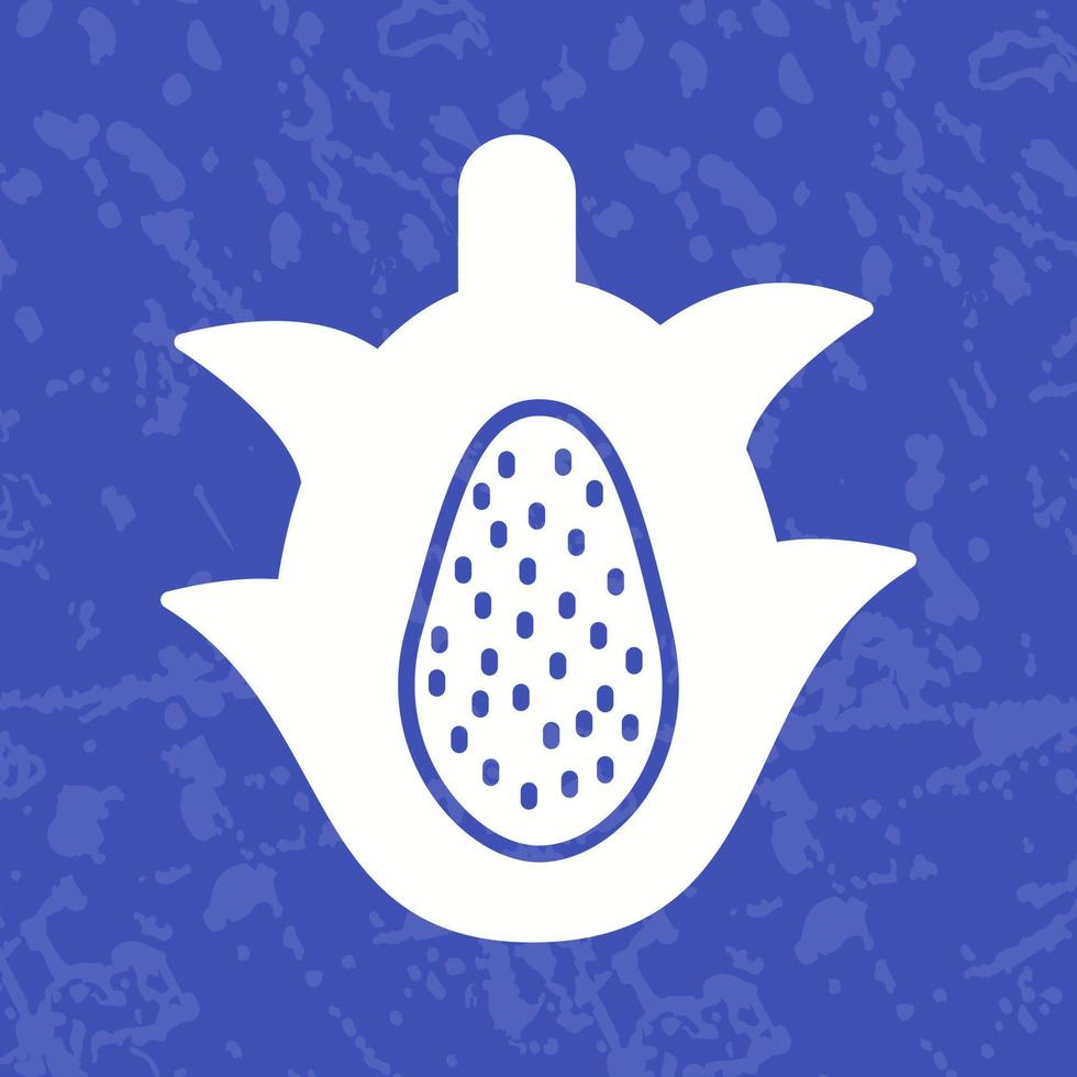 Dragon Fruit Vector Icon