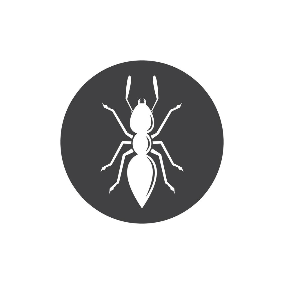 Ant vector illustration design