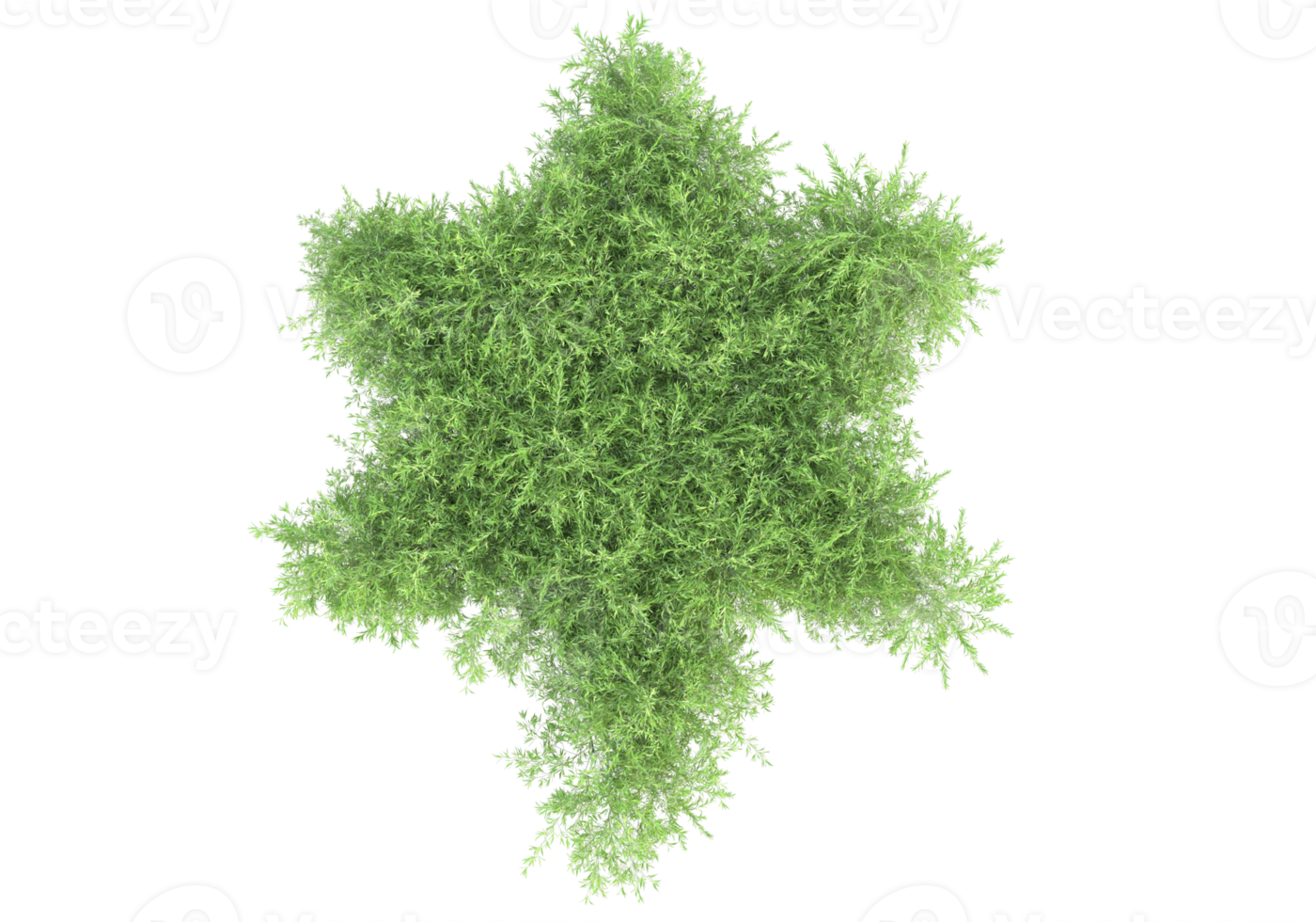 Realistic foliage isolated on transparent background. 3d rendering - illustration png