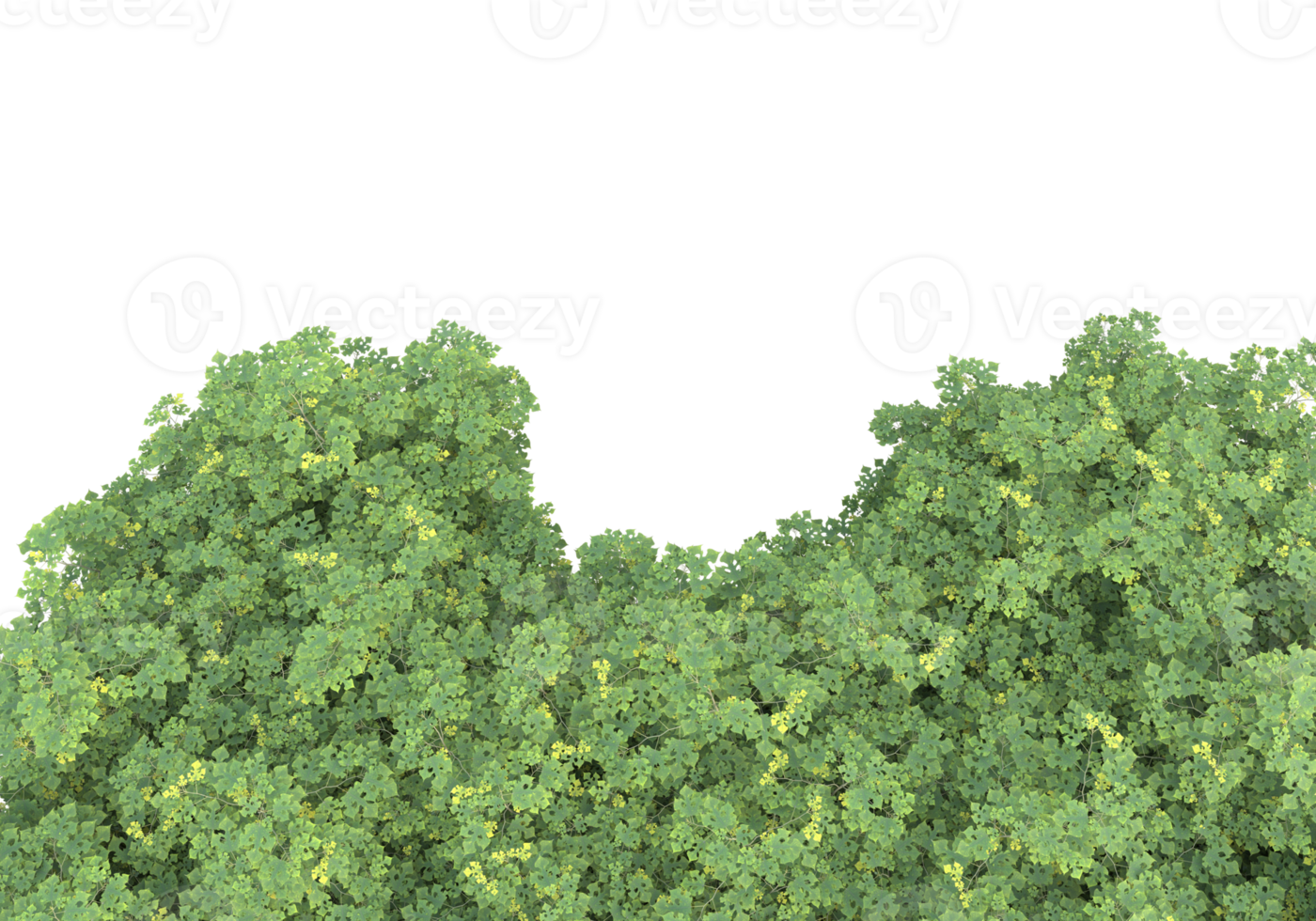 Realistic foliage isolated on transparent background. 3d rendering - illustration png