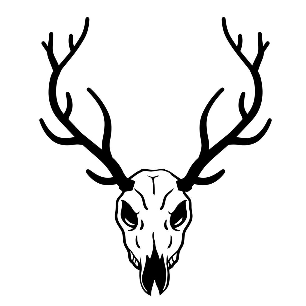 Skull of deer. Hunting trophy with horns. Antler of stag or reindeer. Scary black and white drawing for Halloween. Cartoon illustration isolated on white vector