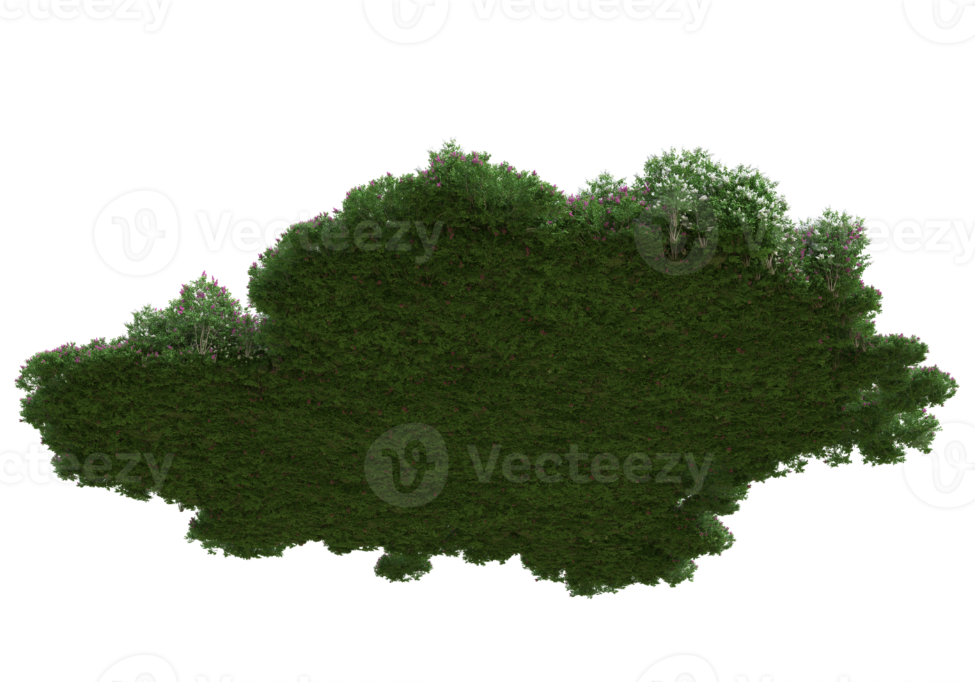 Realistic foliage isolated on transparent background. 3d rendering - illustration png