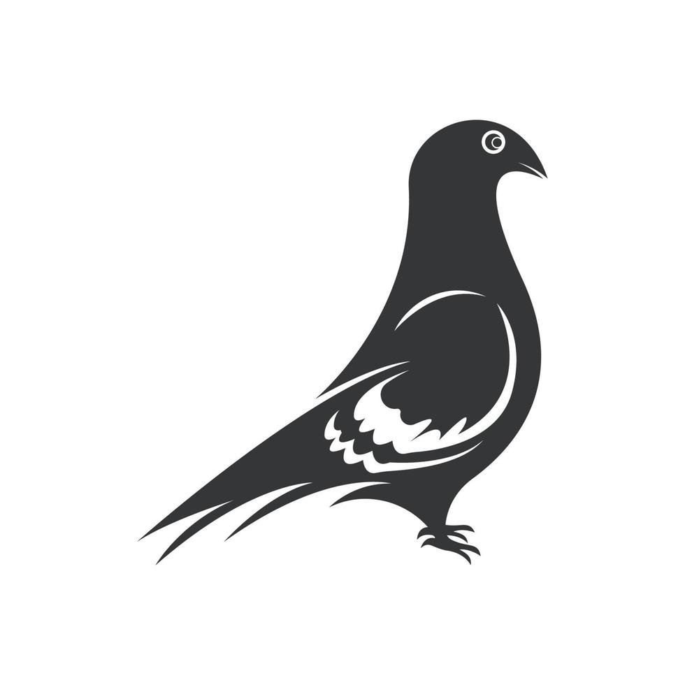 símbolo y diseño de icono de logotipo de pájaro elegante vector