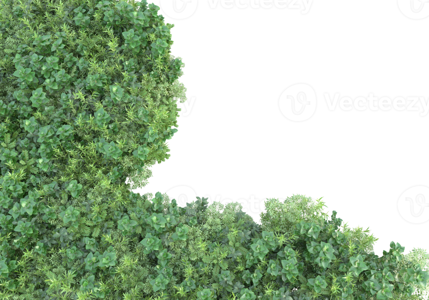 Realistic foliage isolated on transparent background. 3d rendering - illustration png