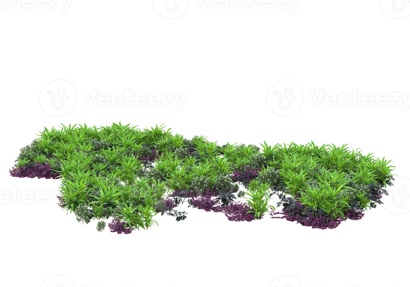 Realistic foliage isolated on transparent background. 3d rendering - illustration png