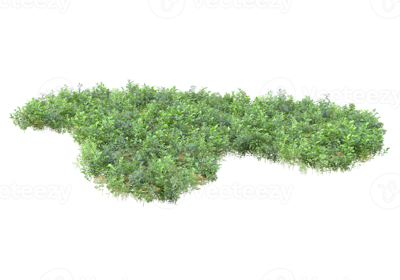 Realistic foliage isolated on transparent background. 3d rendering - illustration png