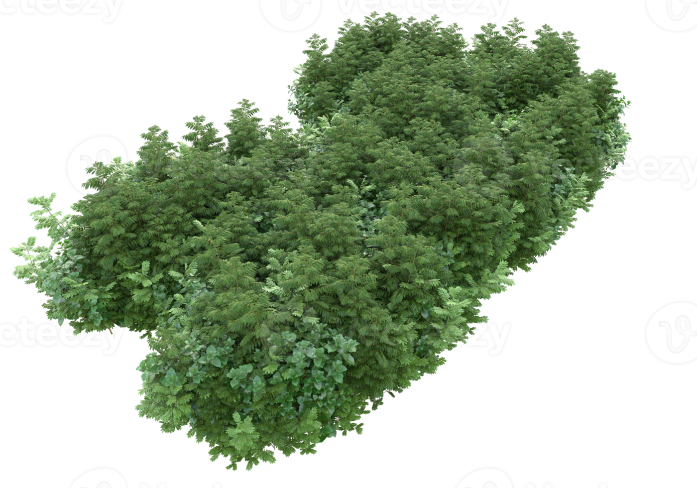 Realistic foliage isolated on transparent background. 3d rendering - illustration png