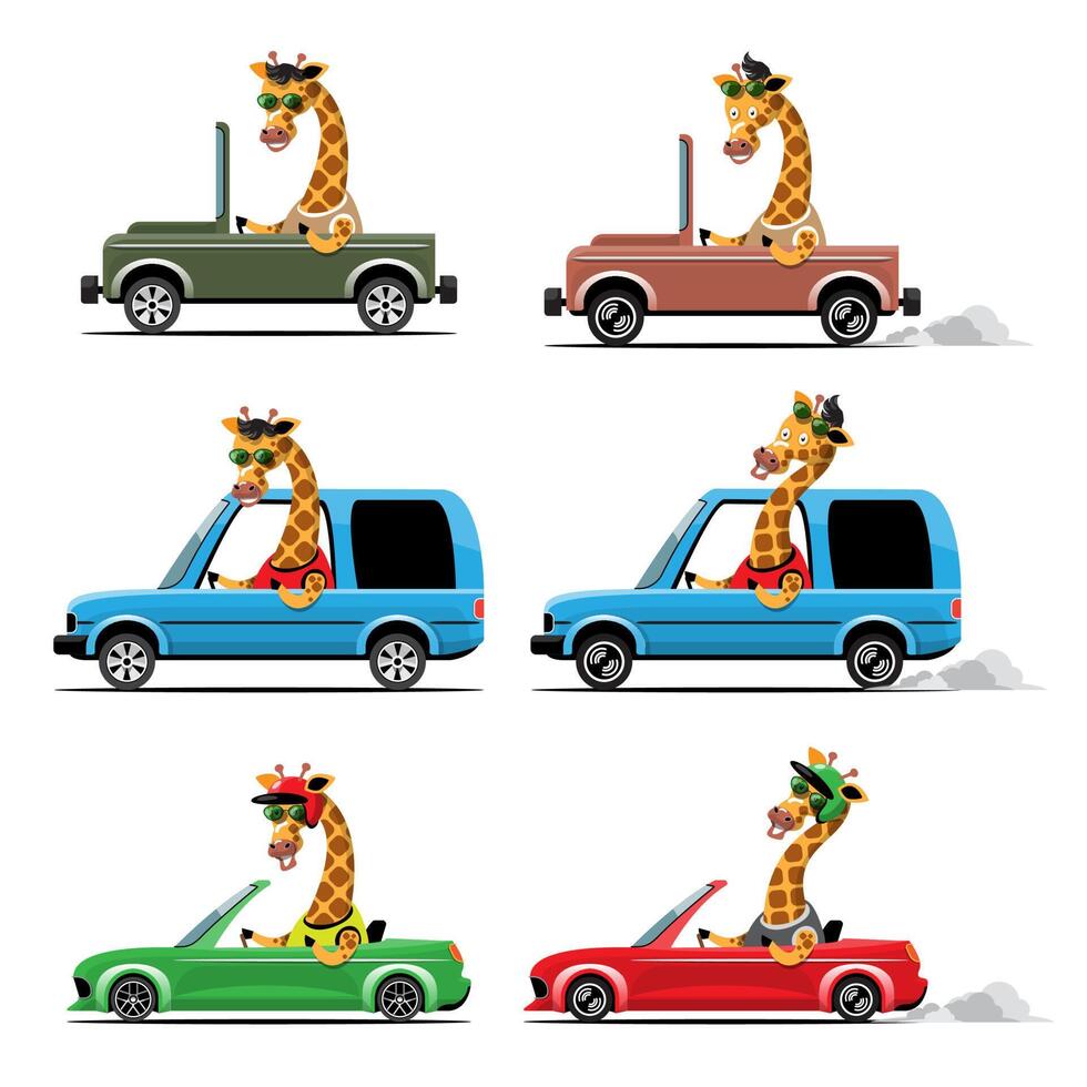 conductor de animales, vehículo de mascotas y jirafa feliz en coche. vector