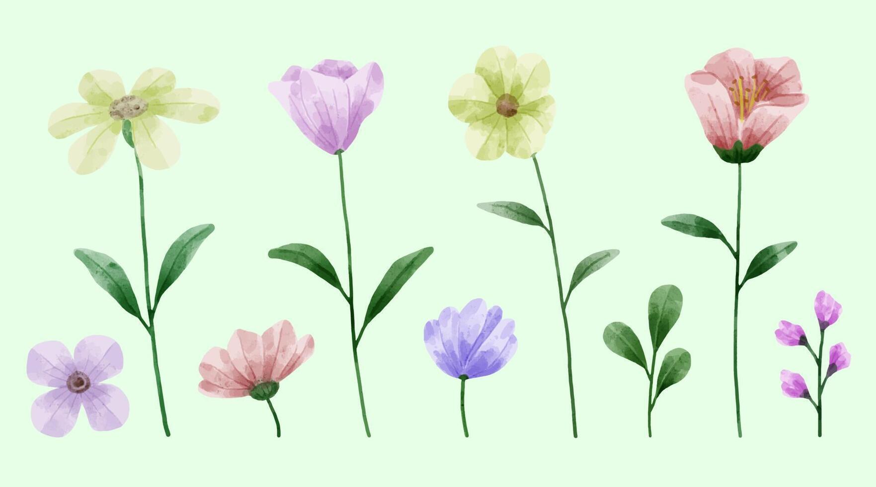 A set of flowers painted in watercolor for designer work create vector