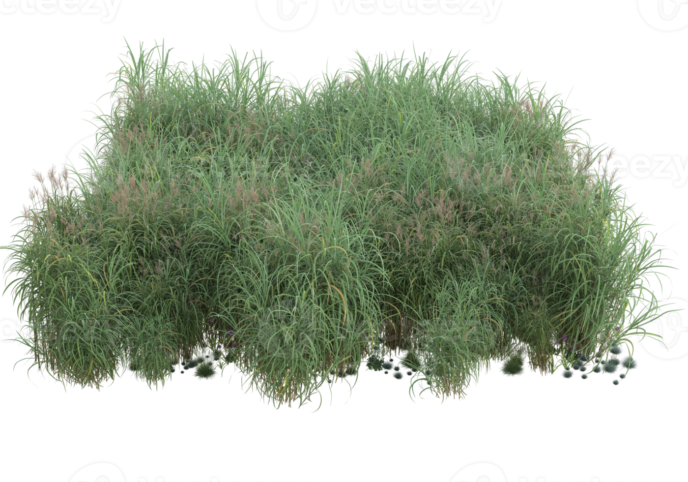 Realistic foliage isolated on transparent background. 3d rendering - illustration png