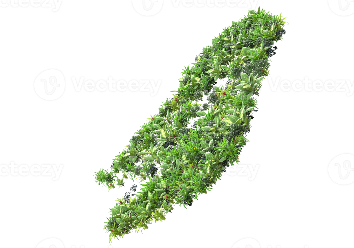 Realistic foliage isolated on transparent background. 3d rendering - illustration png