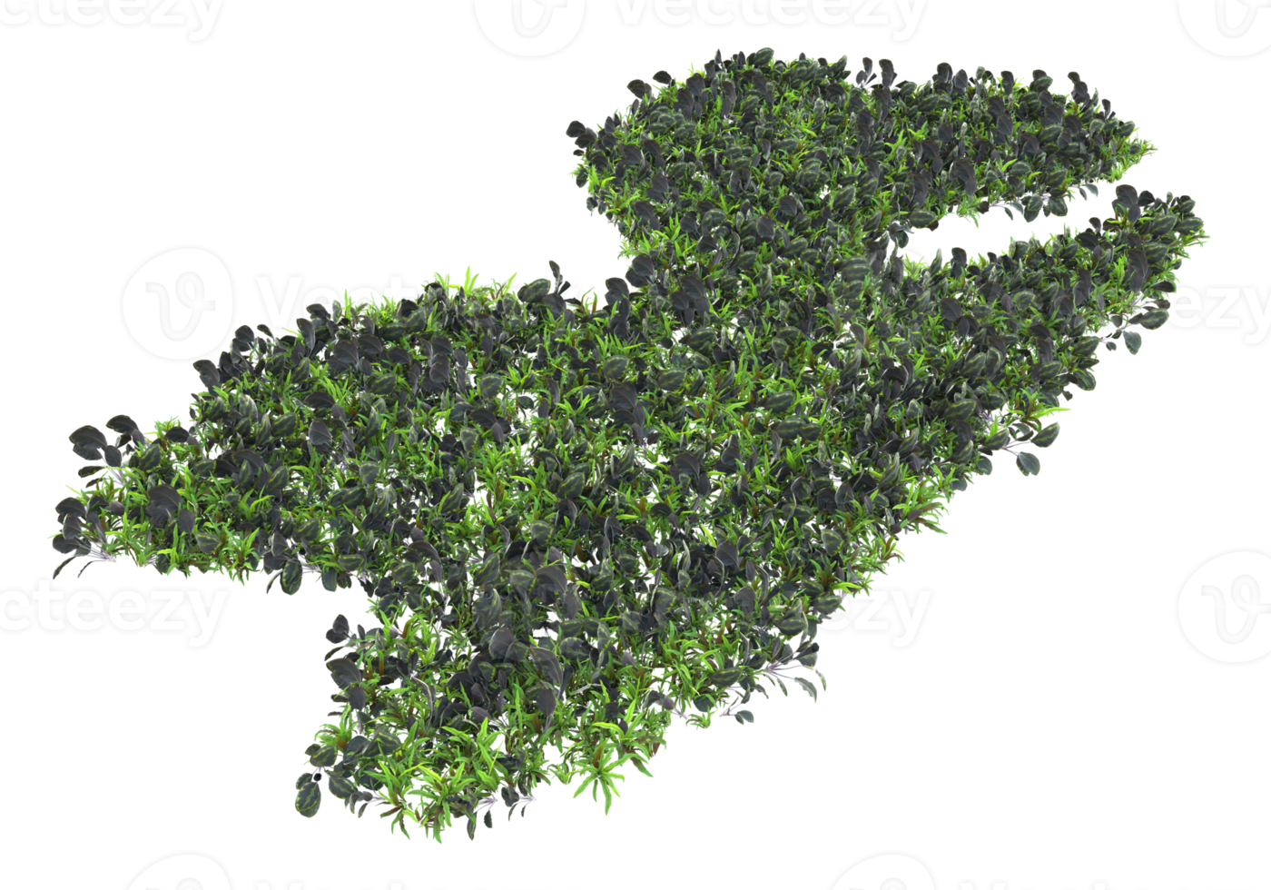 Realistic foliage isolated on transparent background. 3d rendering - illustration png