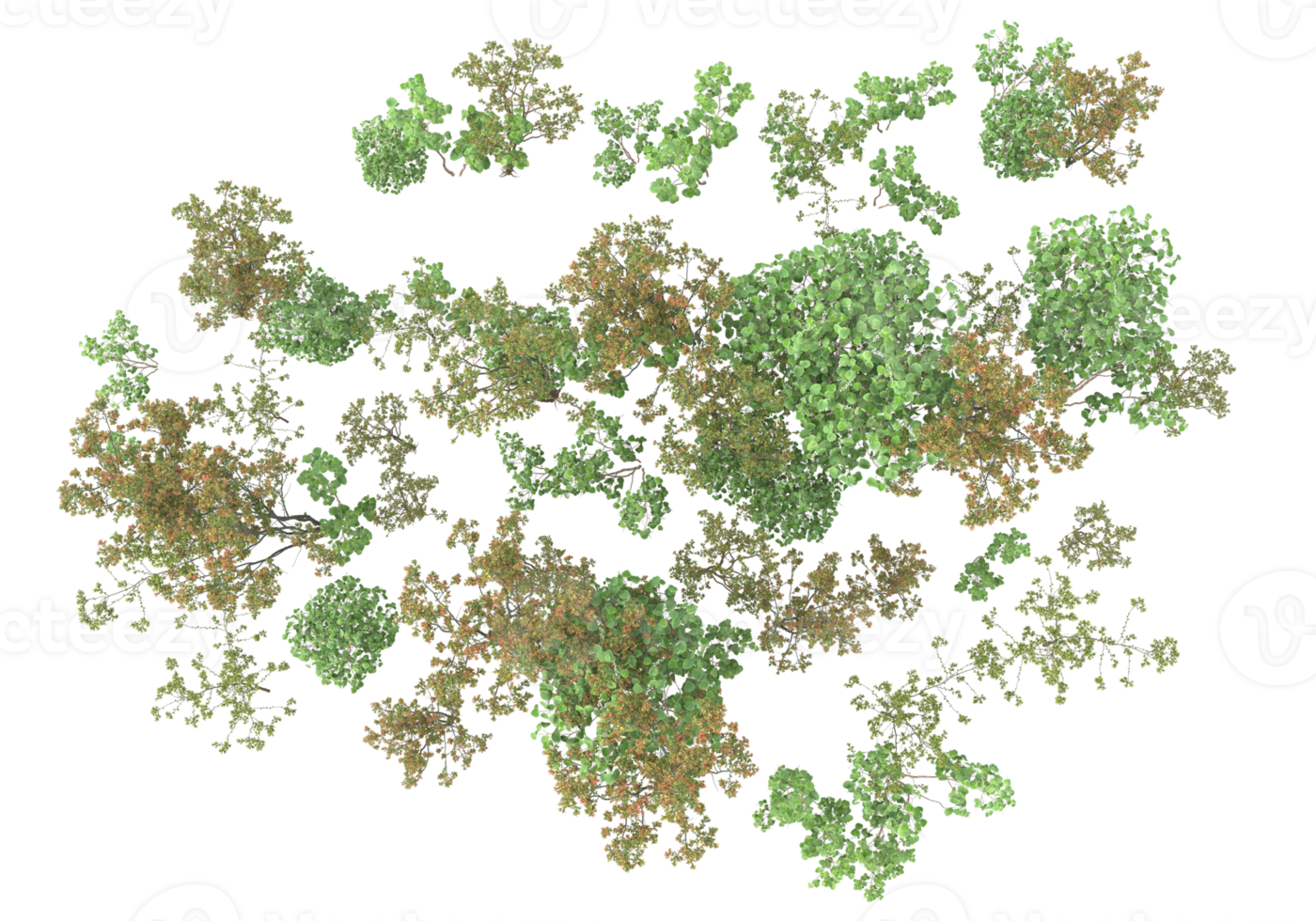 Realistic foliage isolated on transparent background. 3d rendering - illustration png