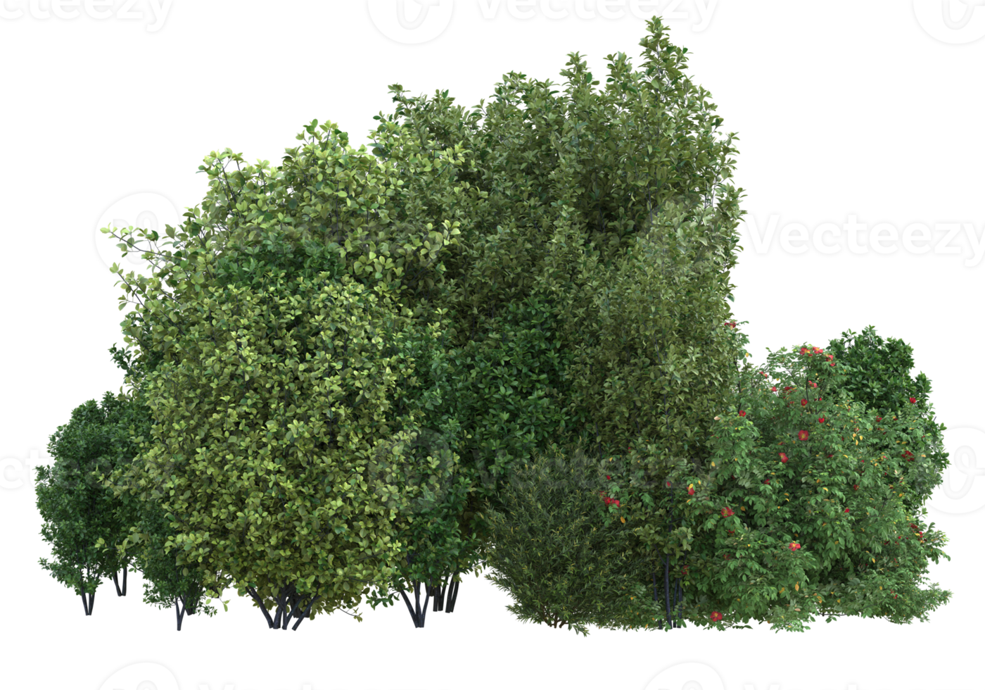 Realistic foliage isolated on transparent background. 3d rendering - illustration png