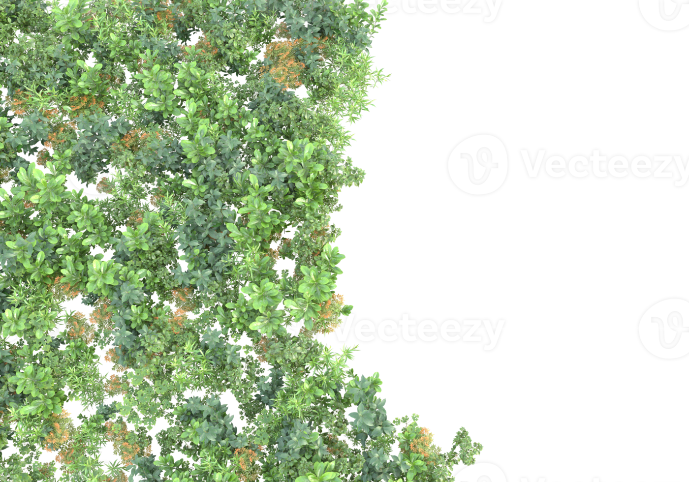 realistisk lövverk isolerat på transparent bakgrund. 3d tolkning - illustration png