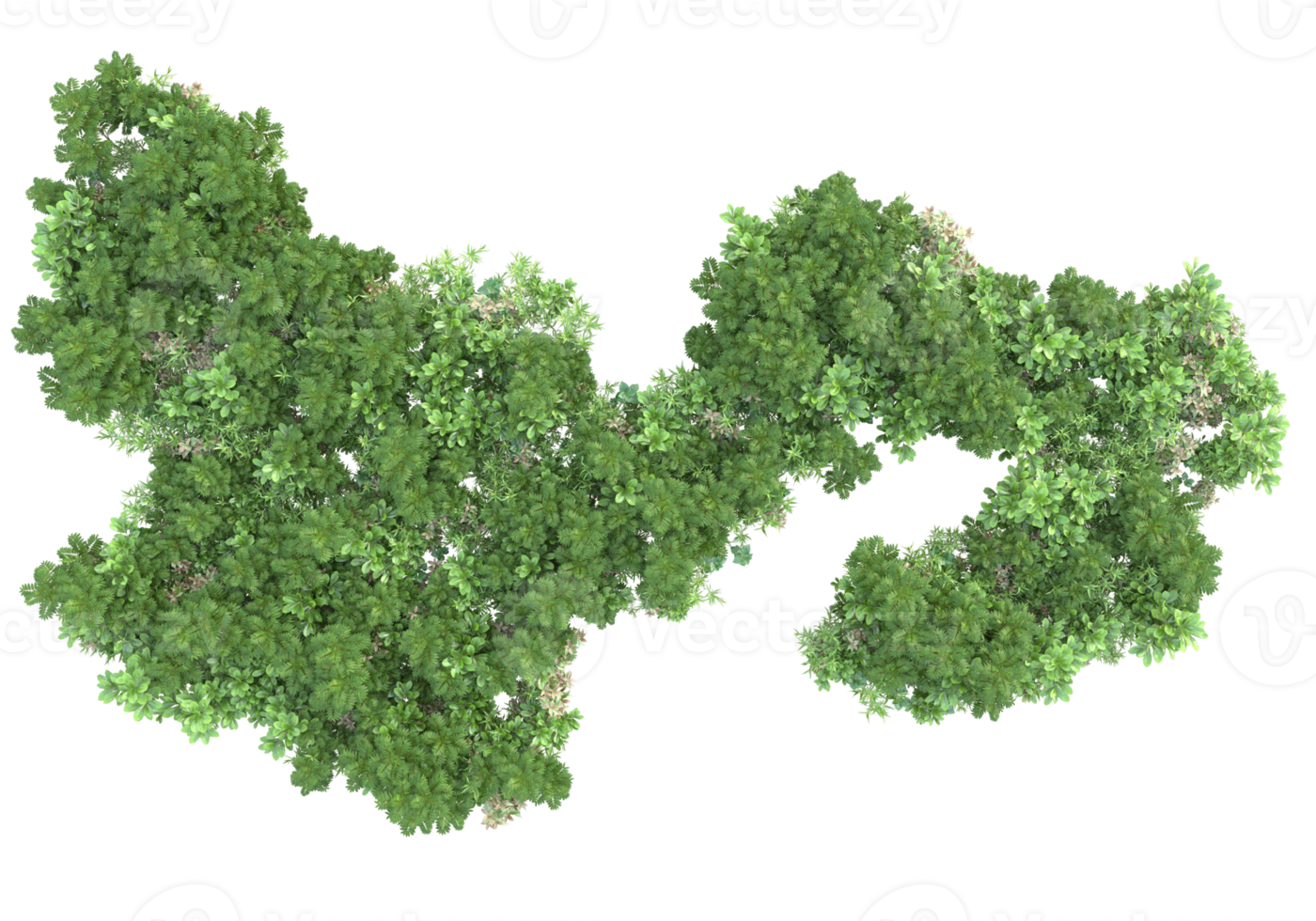 Realistic foliage isolated on transparent background. 3d rendering - illustration png