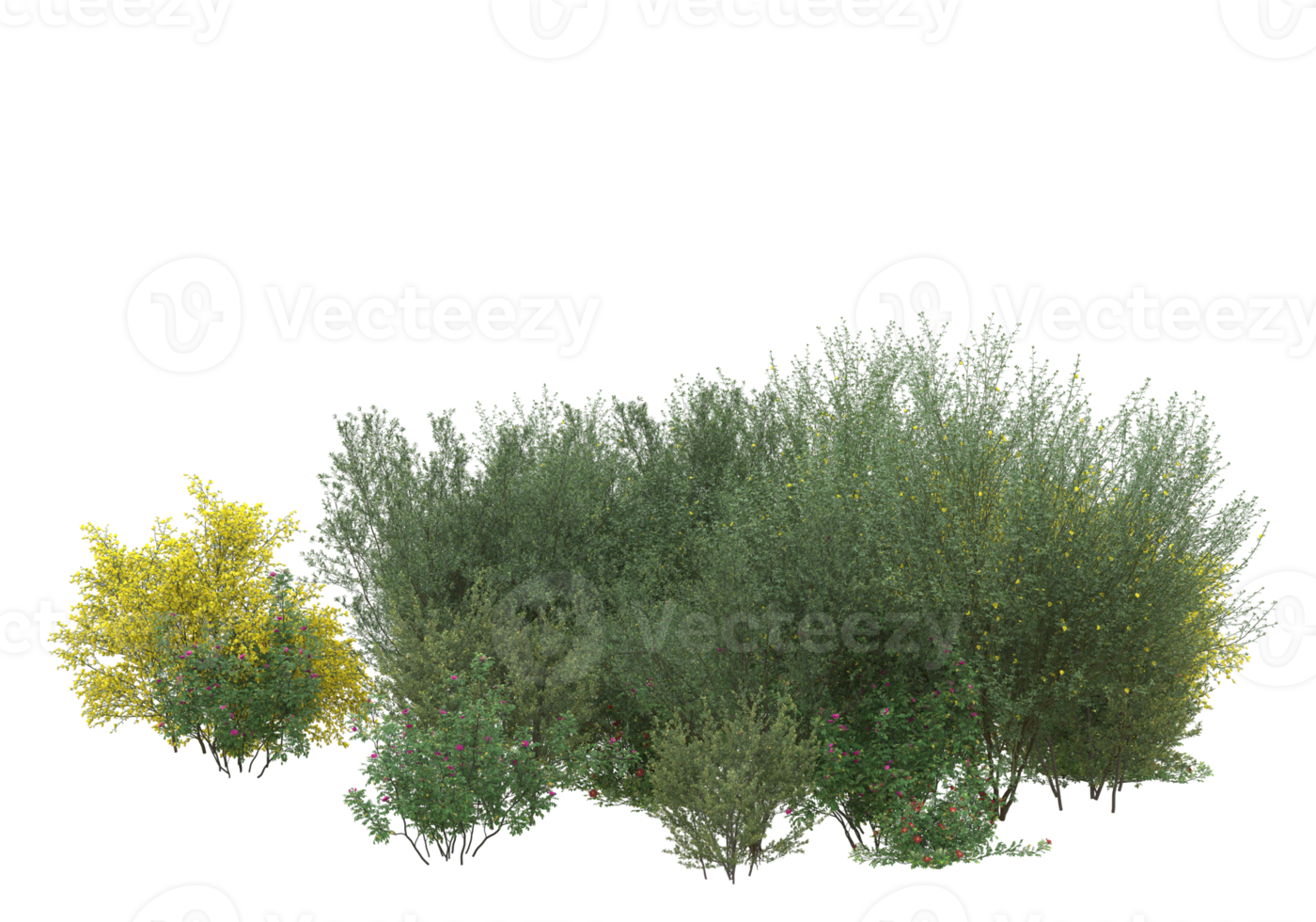 Realistic foliage isolated on transparent background. 3d rendering - illustration png