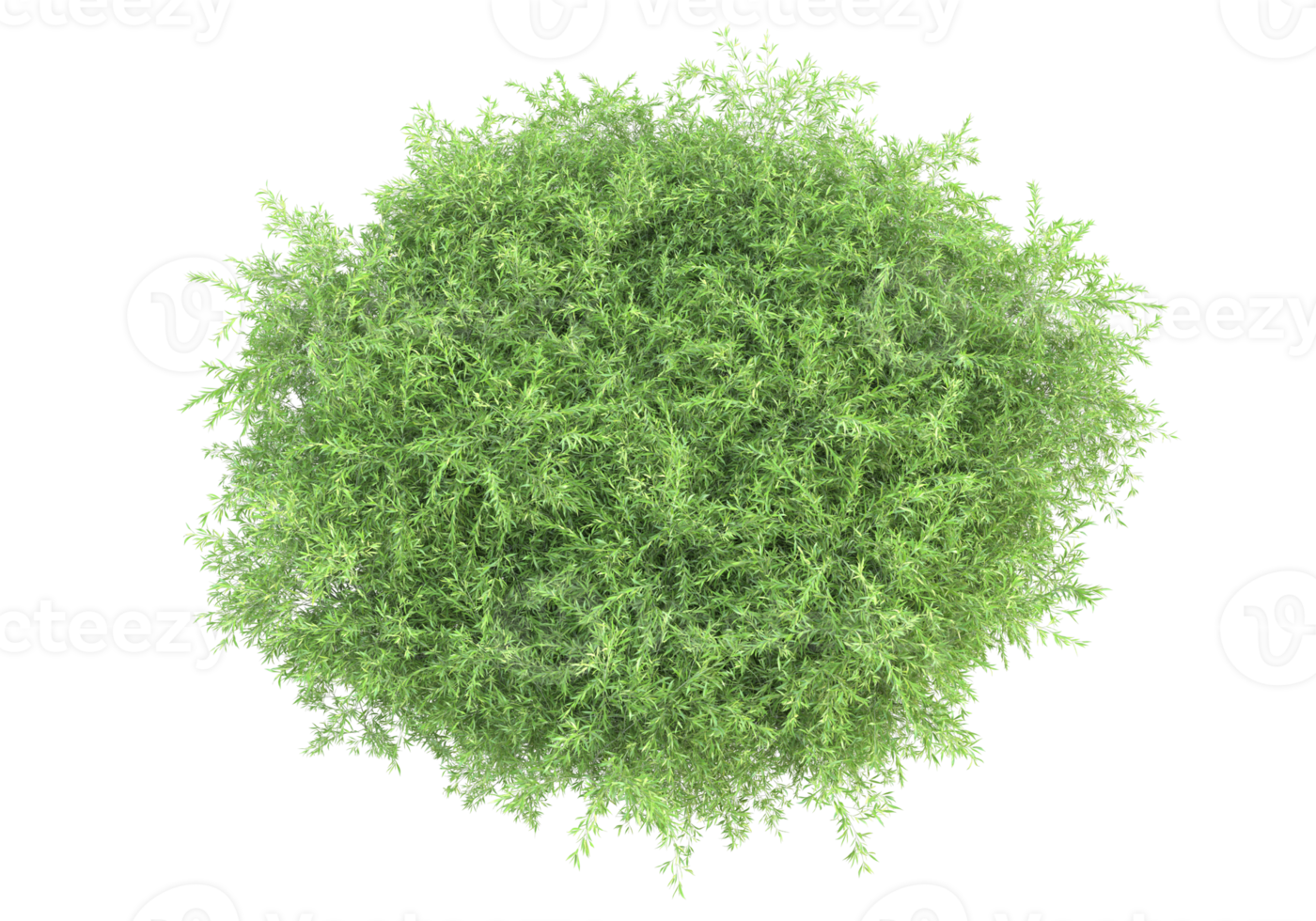 Realistic foliage isolated on transparent background. 3d rendering - illustration png