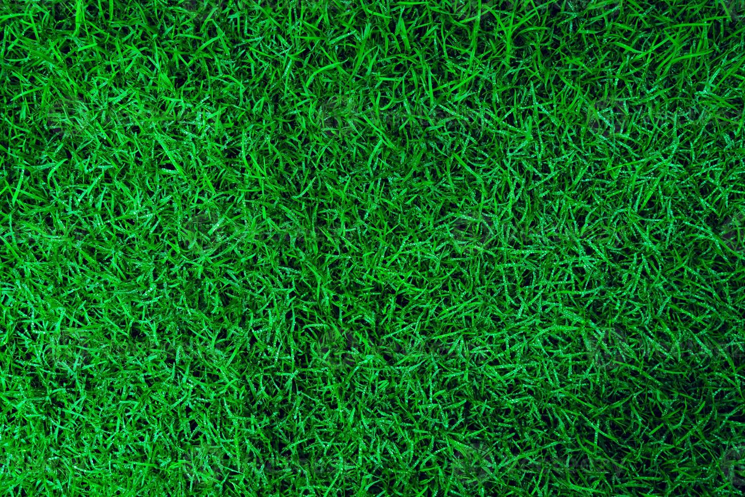 Natural Green grass texture with water droplets. Perfect Golf or football field background. Top view photo