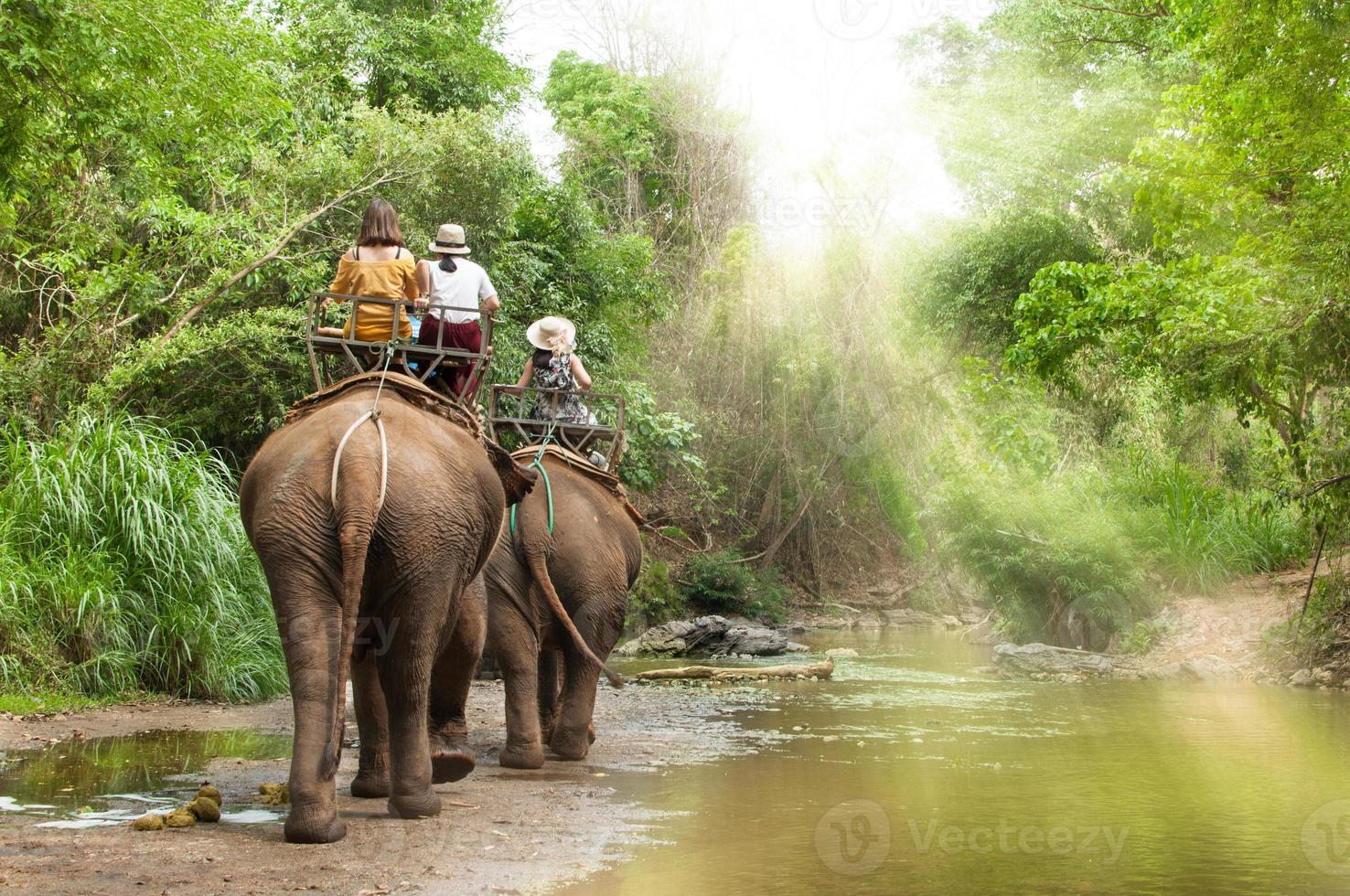 Group tourists to ride on elephant in forest chiang mai, northern Thailand photo