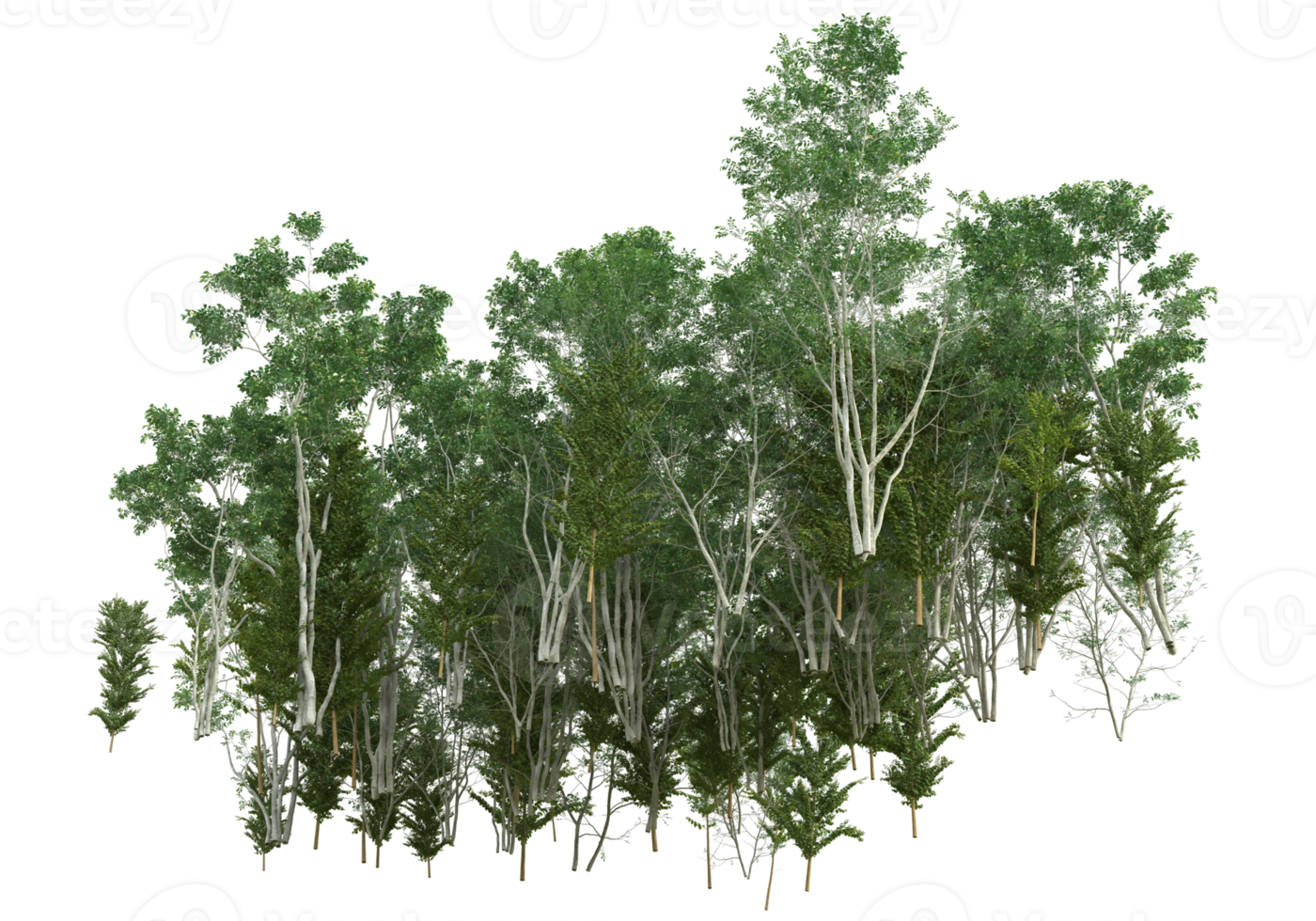 Realistic foliage isolated on transparent background. 3d rendering - illustration png