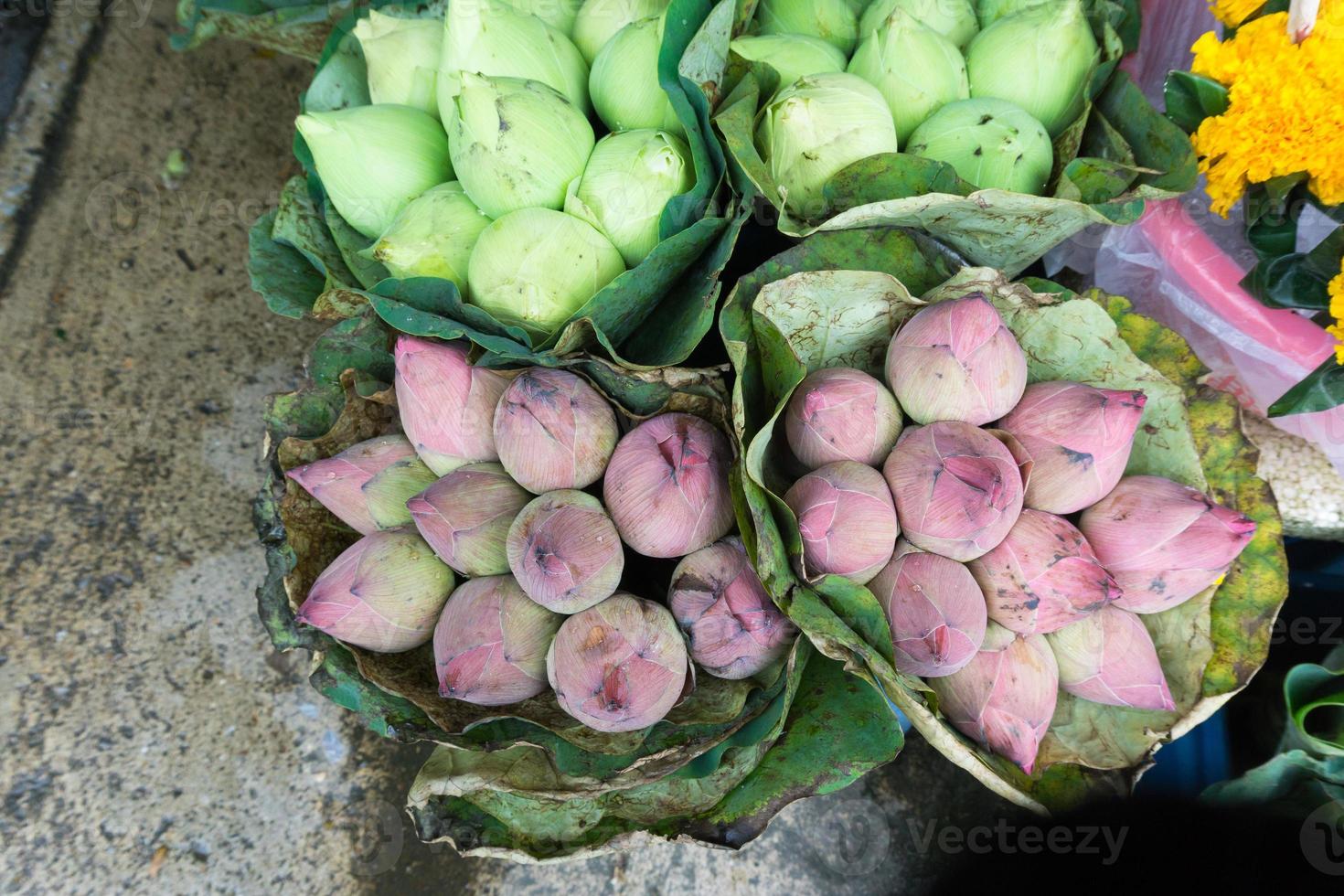 Fresh lotus buds bouquet sold at flower market in bangkok, thailand photo