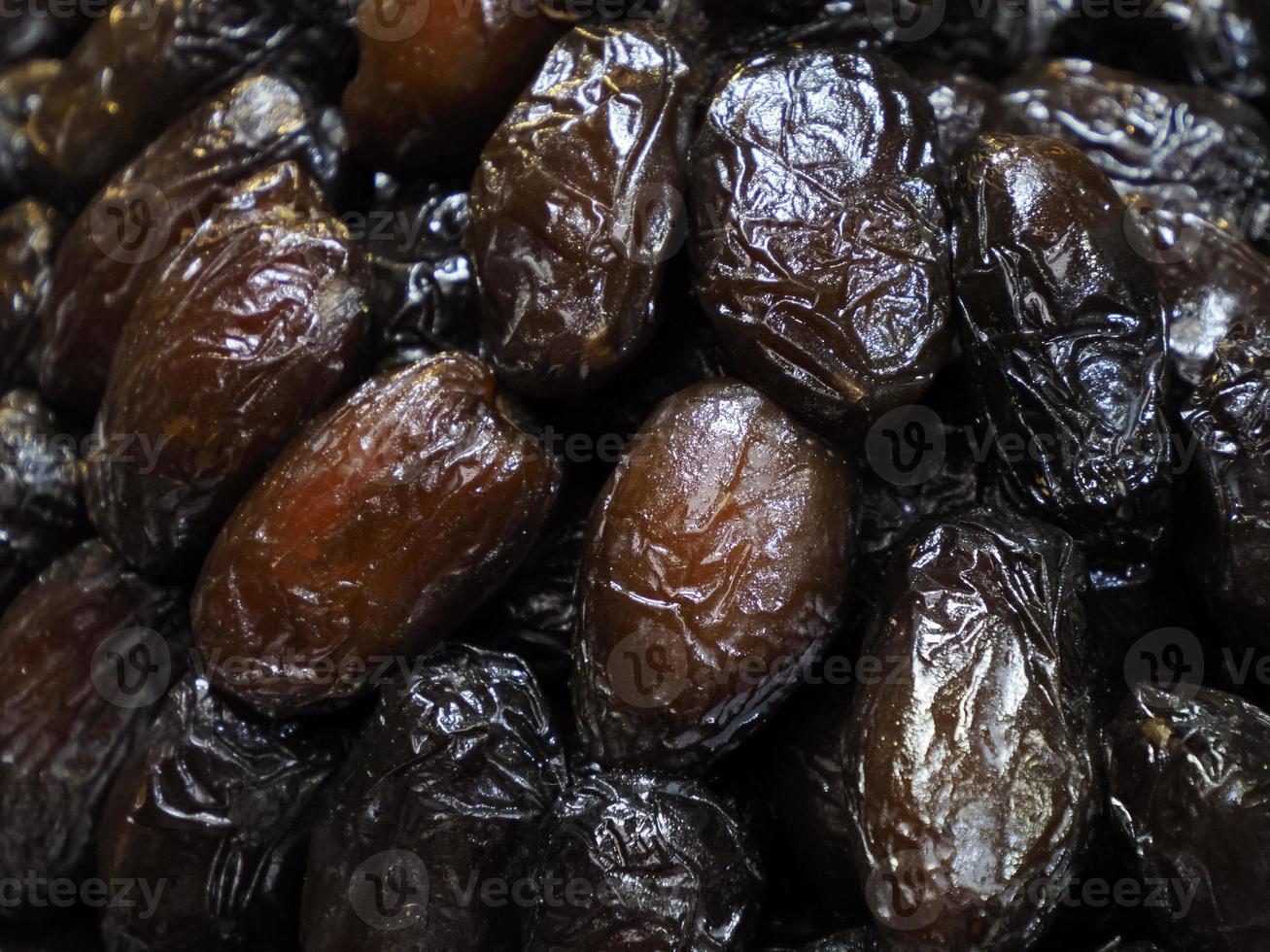 date palm in fes medina photo