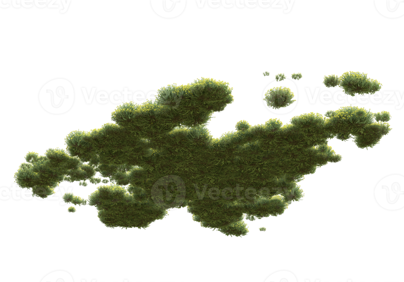 realistisk lövverk isolerat på transparent bakgrund. 3d tolkning - illustration png