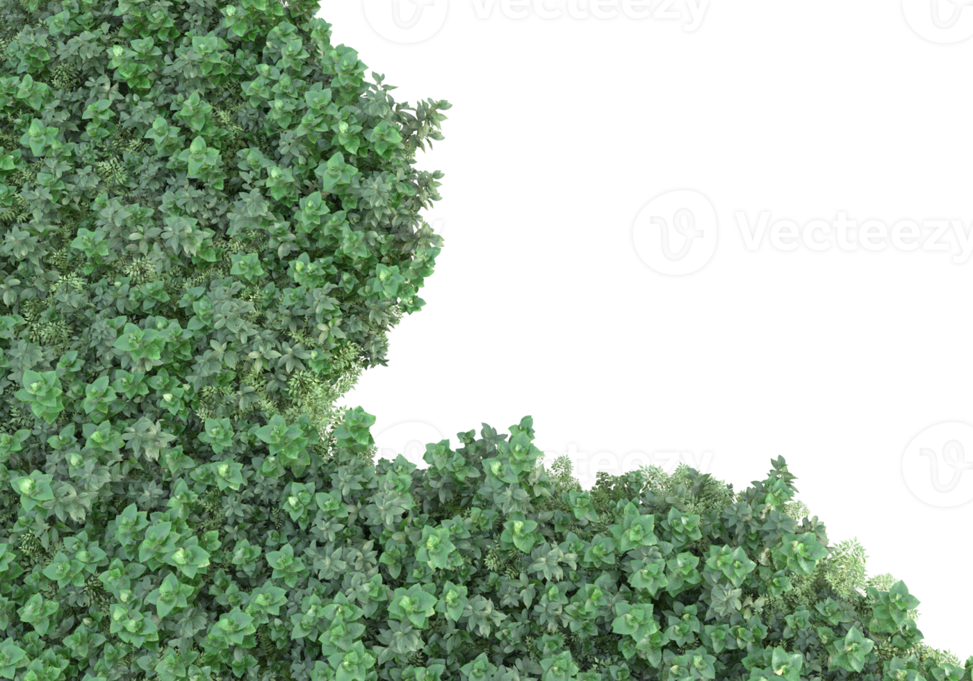 Realistic foliage isolated on transparent background. 3d rendering - illustration png