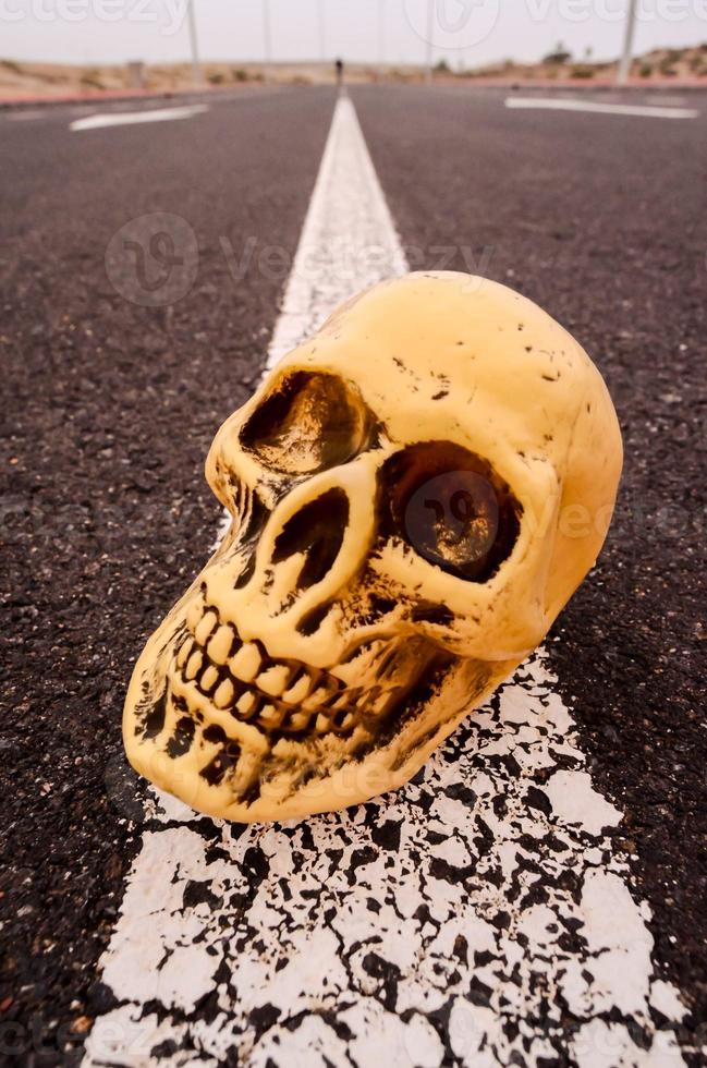 Skull miniature on the road photo