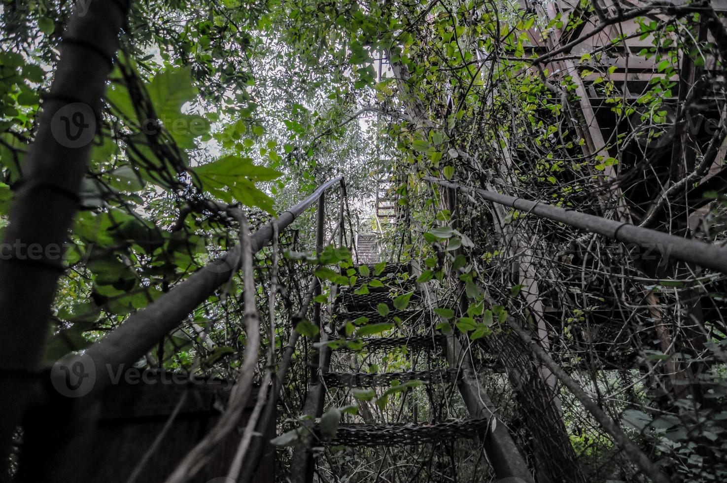 View of abandoned site photo