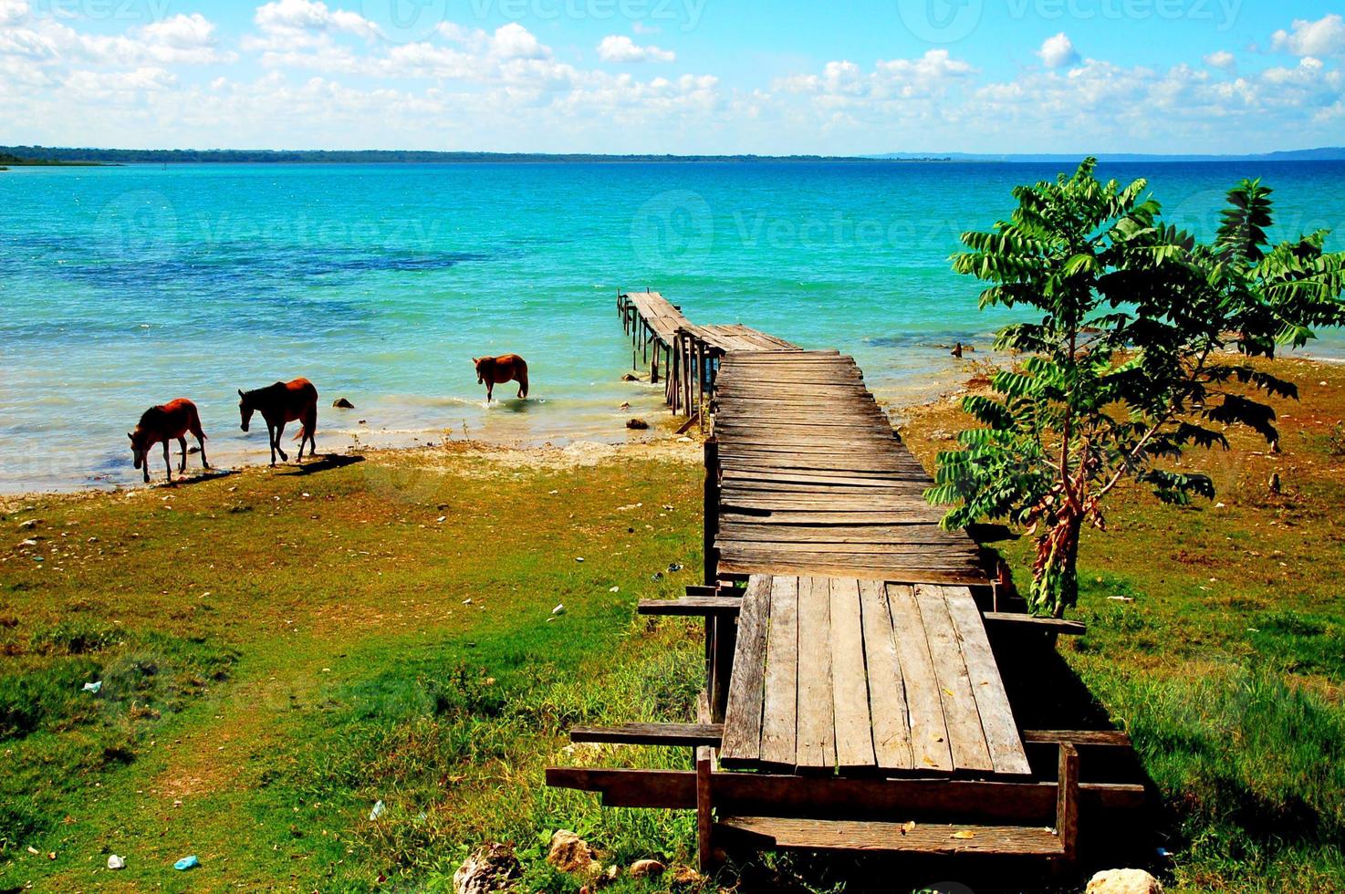 Scenic pier view photo