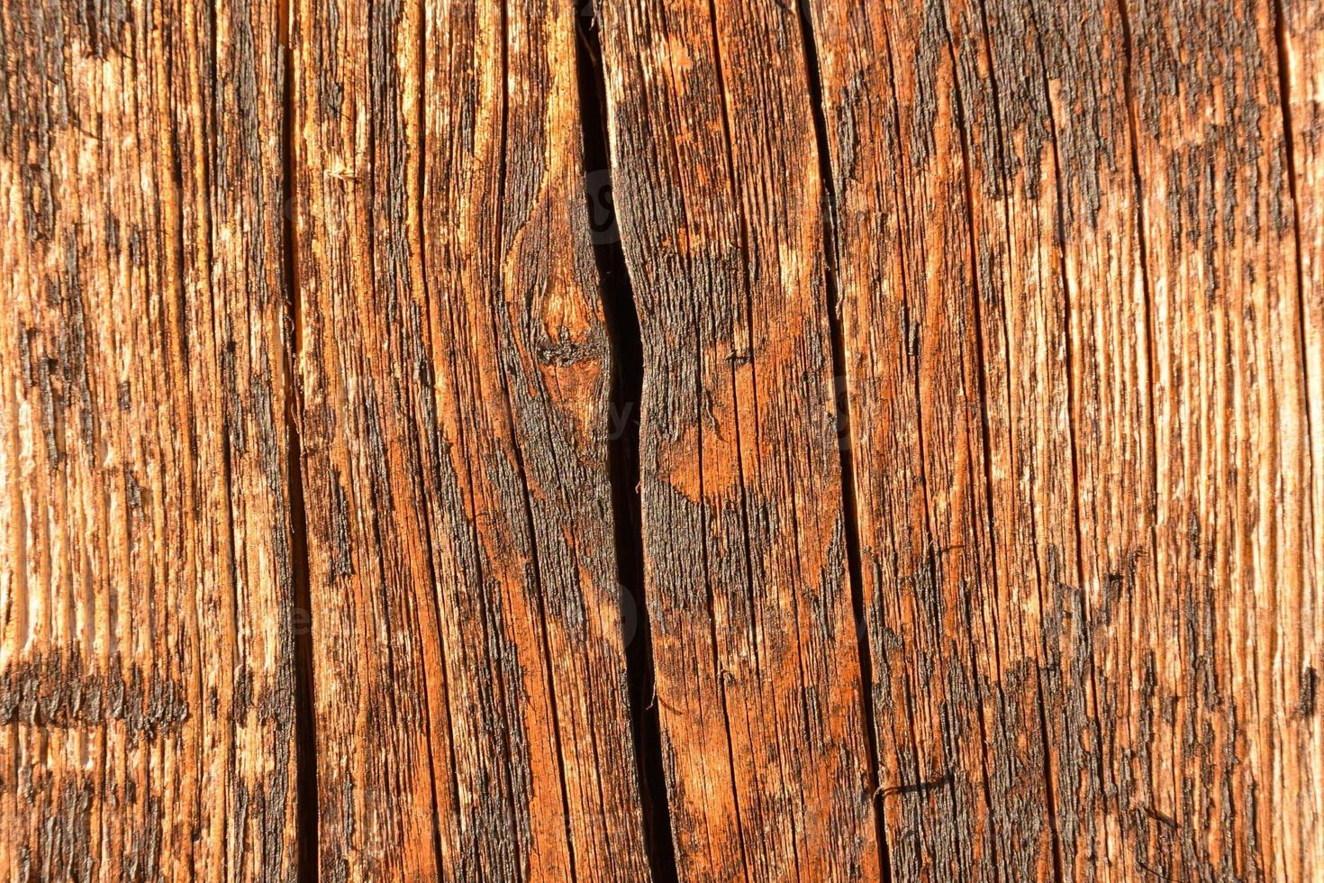 textura de madera de fondo foto