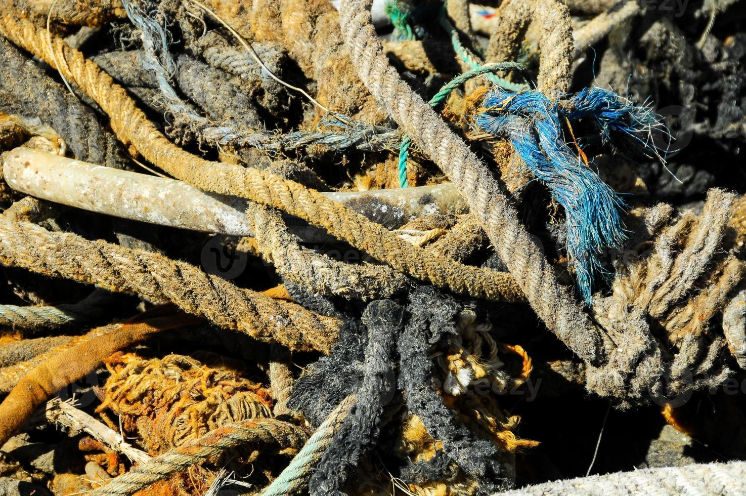 Old ropes in the harbour photo