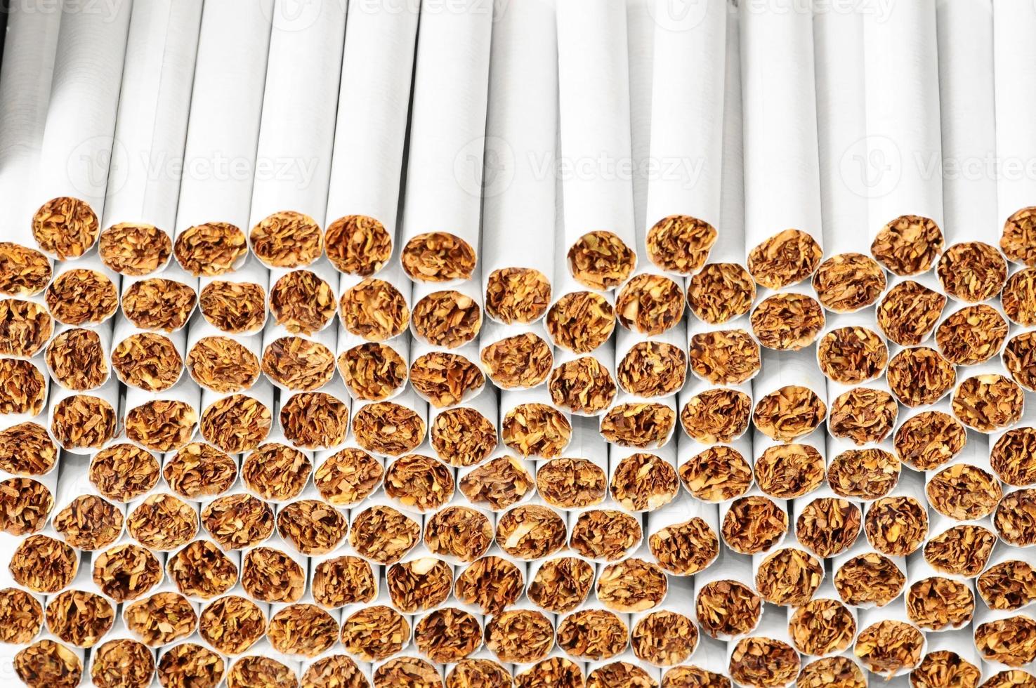 Stacked cigarettes close up photo