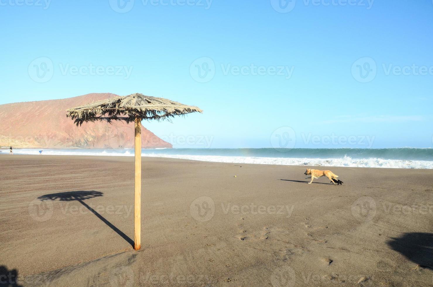 vista panorámica de la playa foto