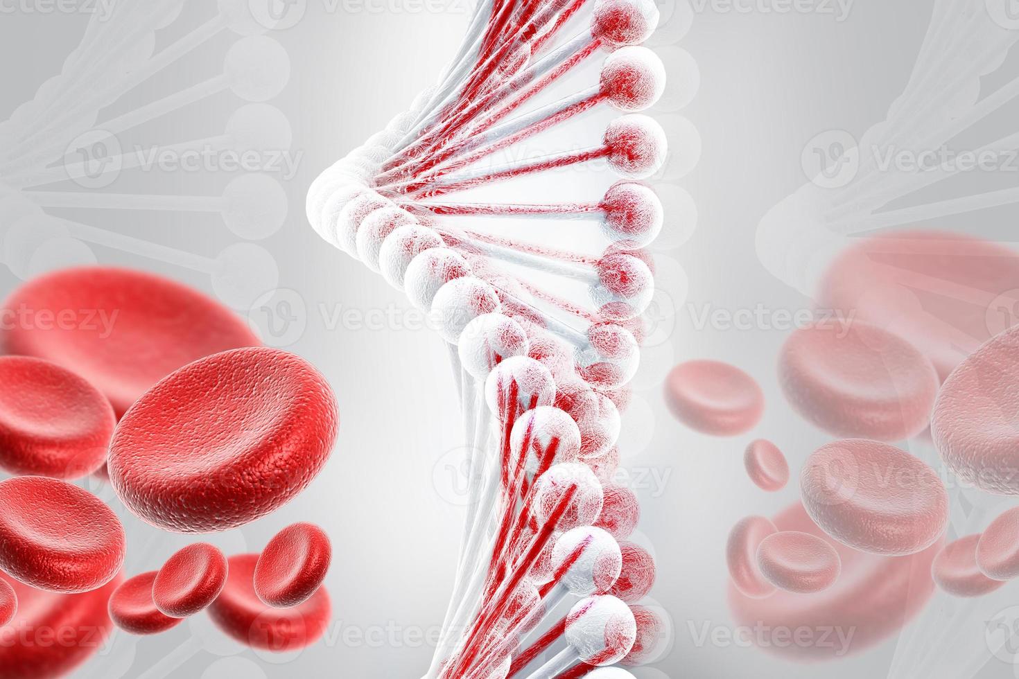 ADN con glóbulos foto