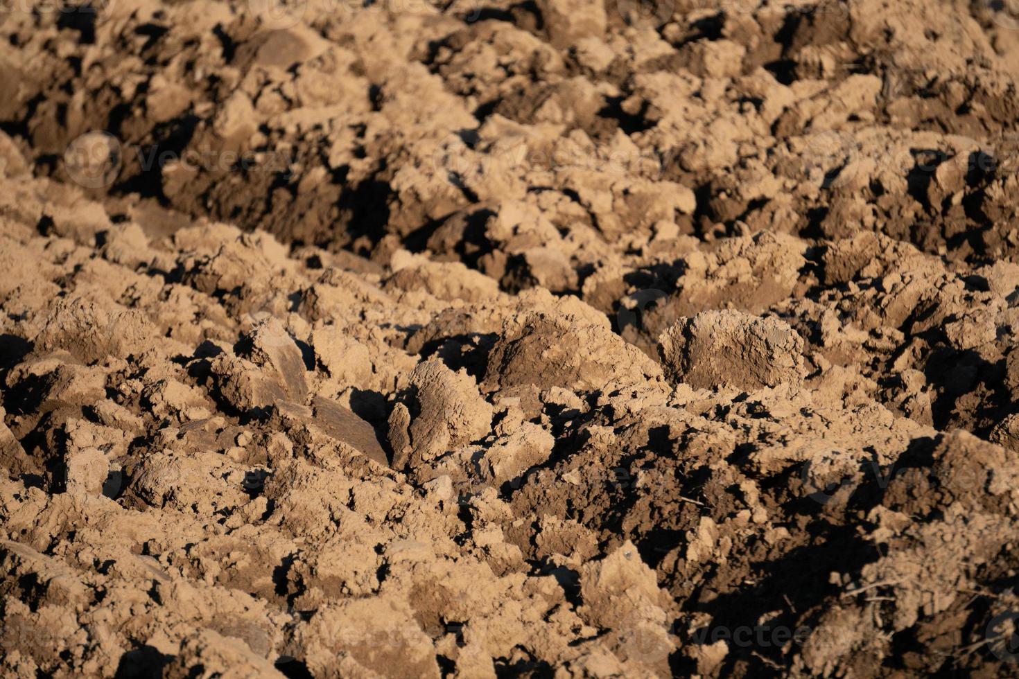 fresh turned soil earth detail photo