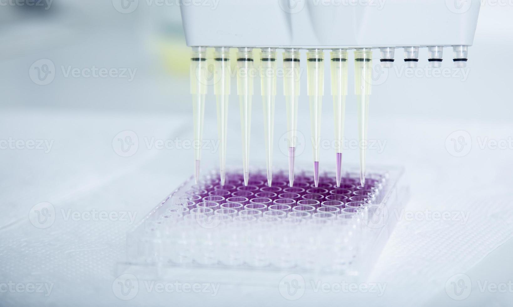 cell culture at the medicine, medical and cell culture laboratory photo