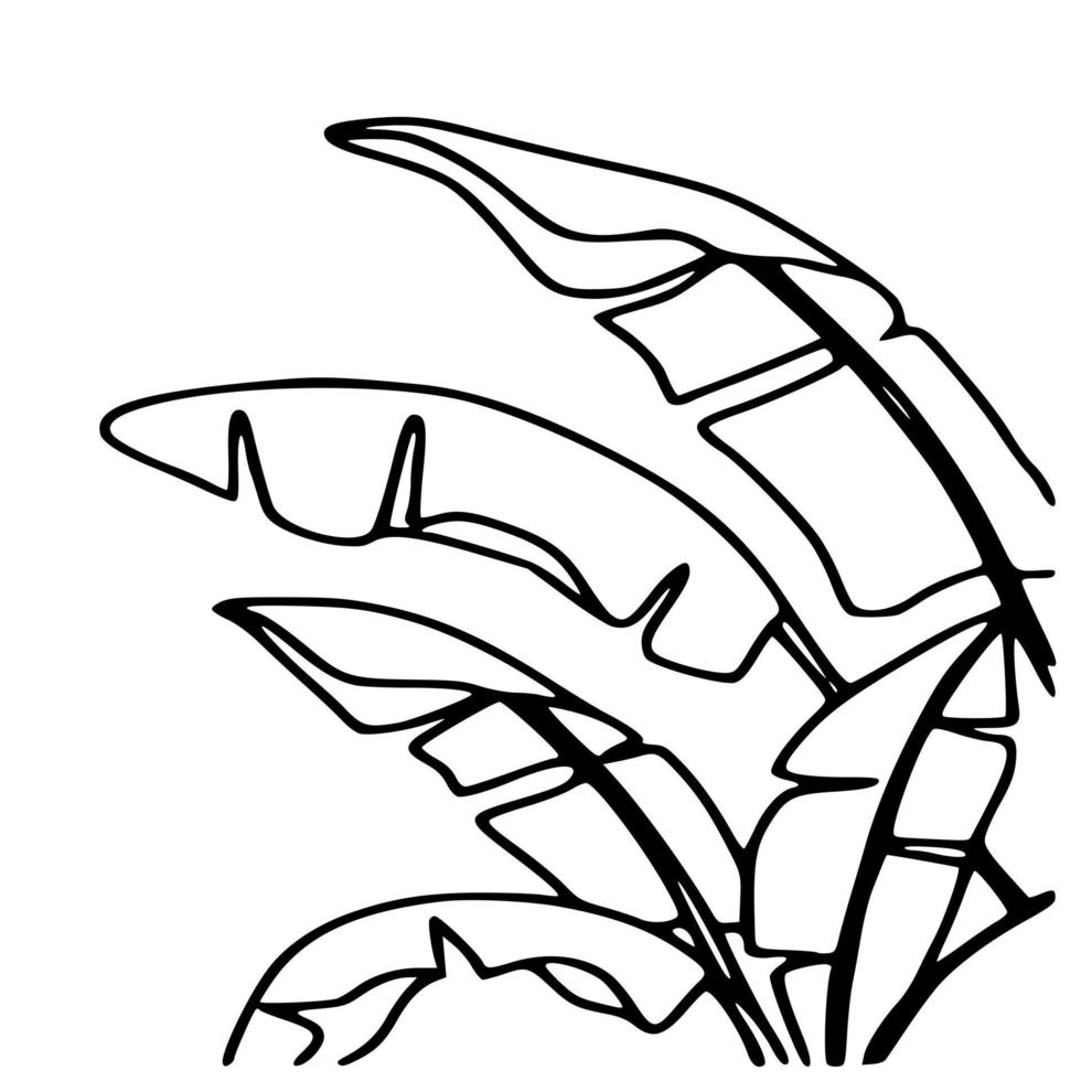 Black and white vector of plants , trees and foliage