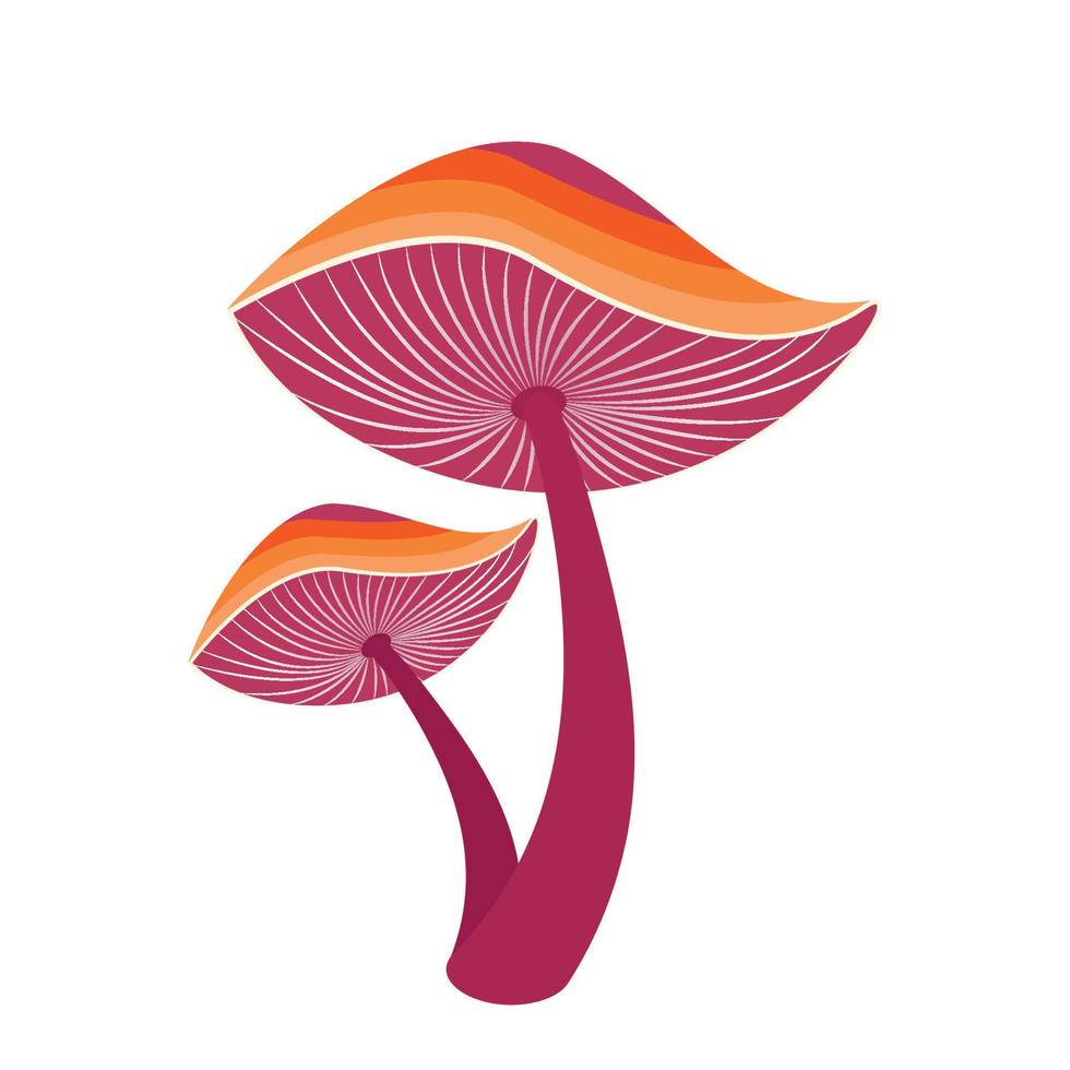 Reishi Ganoderma lingzhi mushroom vector illustration