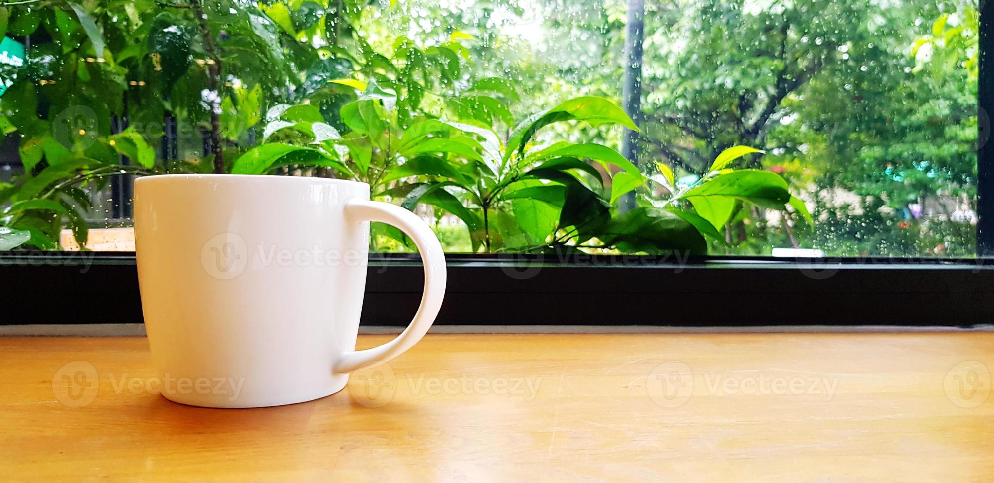 White cup of coffee putting on wooden table with green plant background and right copy space. Object, Refreshment drinking and Nature wallpaper concept photo