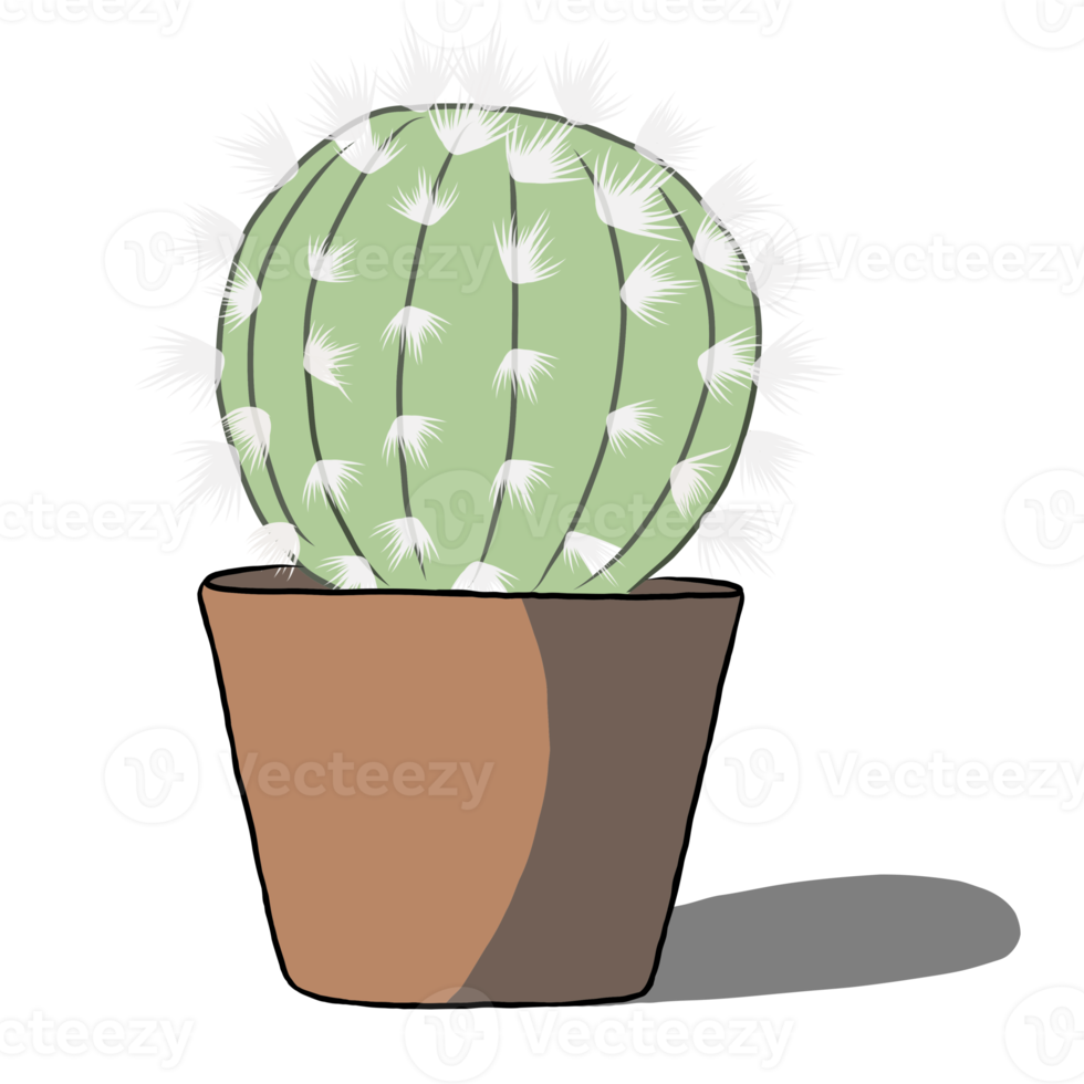 planta de cactus en la maceta. png