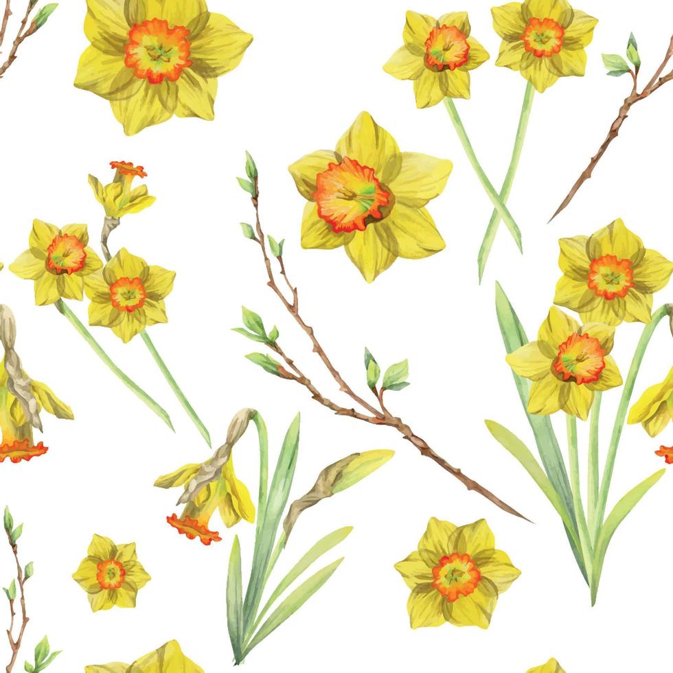 Watercolor hand drawn seamless pattern with spring flowers, daffodils, leaves, stems, branches. Isolated on white background Design for invitations, wedding, greeting cards, wallpaper, print, textile. vector