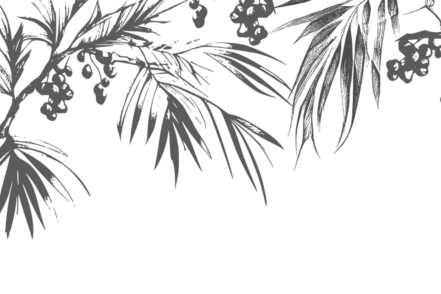 Ink drawn dates with leaves. Ripe fruits hang from the branches. vector