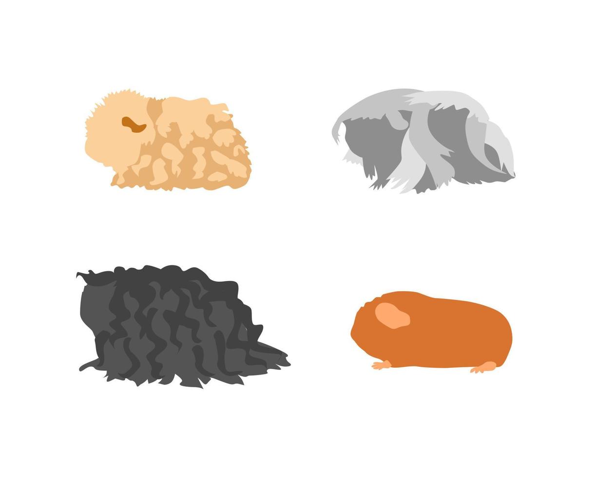 Guinea pig breedsr in silhouette style. Pet rodents collection and icons. Isolated vector with different breeds,curly, peruvian, merino, self