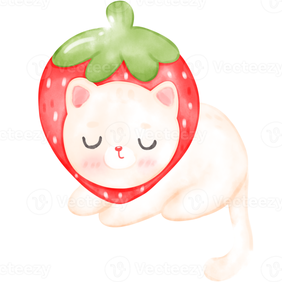 carino fragola gatto gattino acquerello illustrazione png