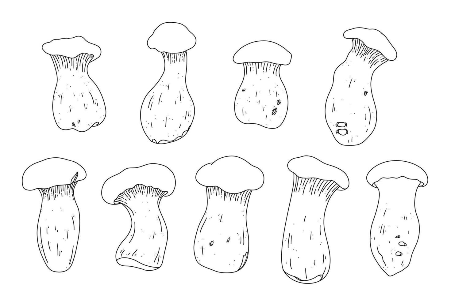 King oyster collection in outline style. Asian food mushrooms. Vector fungus illustration set