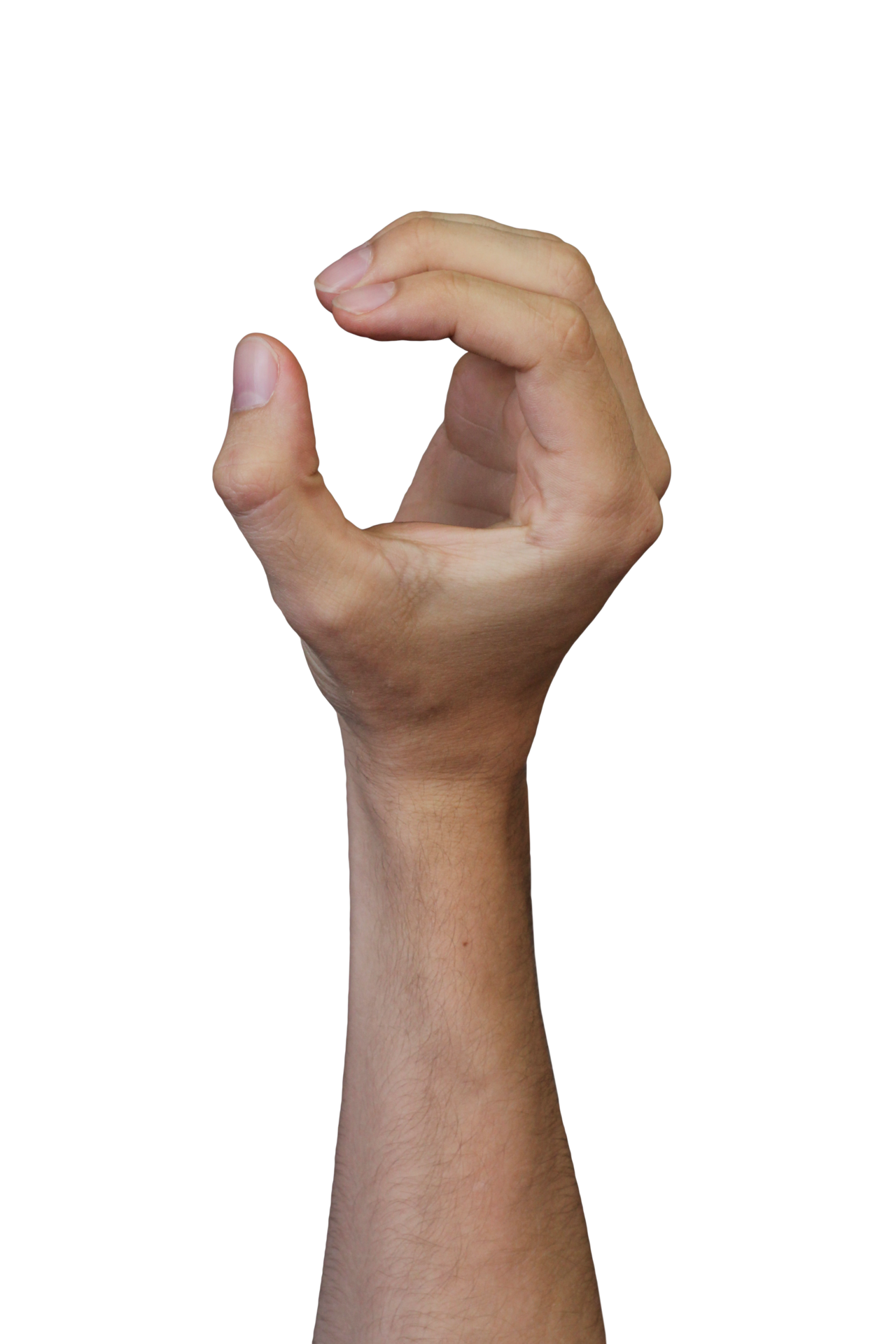 Cartoon Hand Reaching Out Png Download 108 698 Cartoo vrogue.co