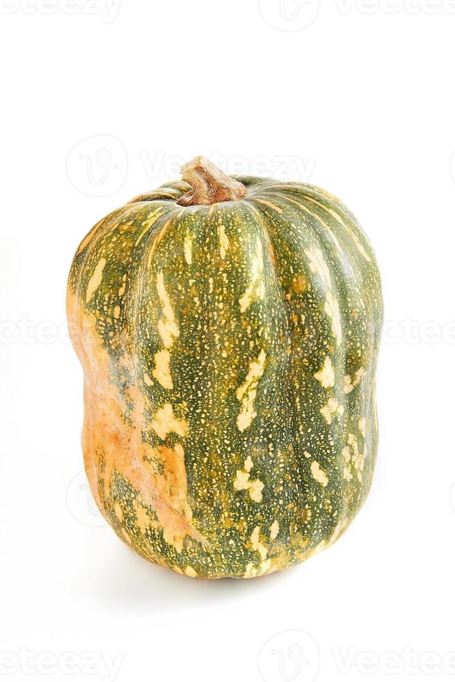 Fresh butternut squash on white background about squash, pumpkin, butternut squash, butternut, and autumn pumpkin photo